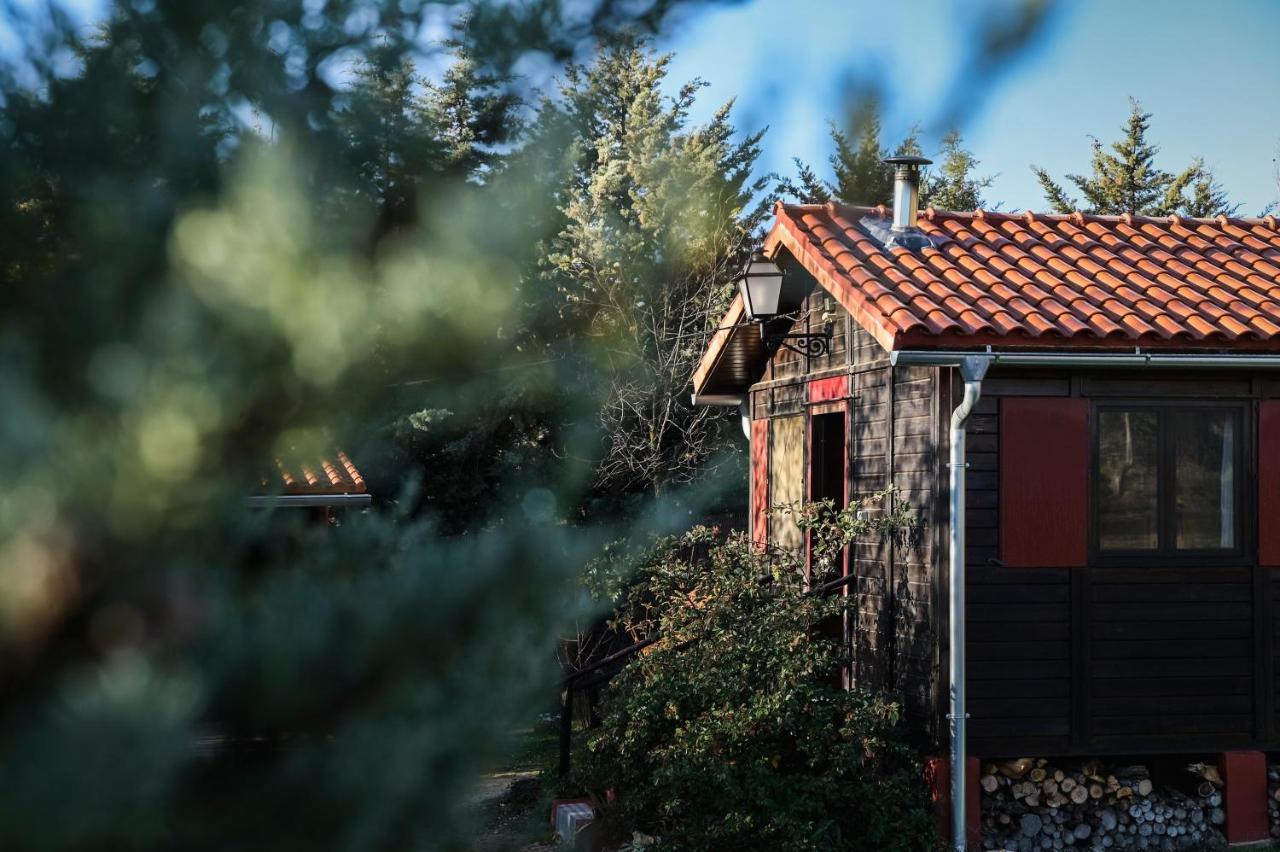 Casa Rural La Canadiense Log Cabin Hostal Buenache de la Sierra Exterior foto